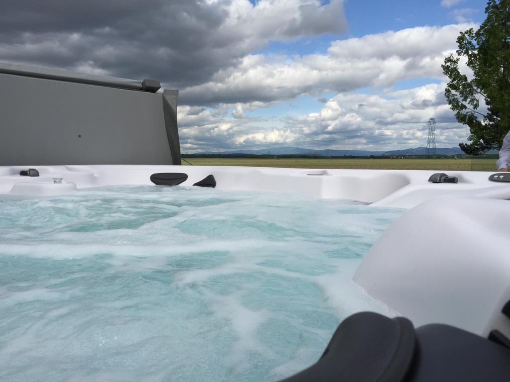 Вилла L'Atelier 4 Stars Luxury, Hot Tub, Pool Nambsheim Номер фото